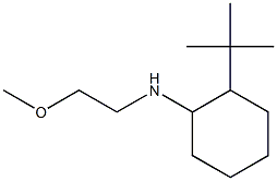 2-tert-butyl-N-(2-methoxyethyl)cyclohexan-1-amine Struktur