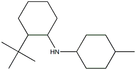 2-tert-butyl-N-(4-methylcyclohexyl)cyclohexan-1-amine Struktur