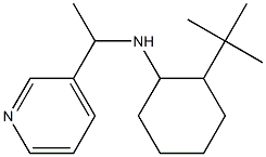 2-tert-butyl-N-[1-(pyridin-3-yl)ethyl]cyclohexan-1-amine Struktur