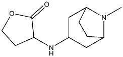 3-({8-methyl-8-azabicyclo[3.2.1]octan-3-yl}amino)oxolan-2-one Struktur