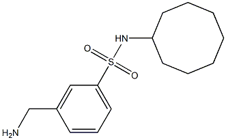 3-(aminomethyl)-N-cyclooctylbenzene-1-sulfonamide Struktur