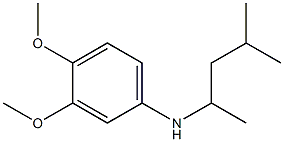 3,4-dimethoxy-N-(4-methylpentan-2-yl)aniline Struktur