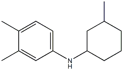 3,4-dimethyl-N-(3-methylcyclohexyl)aniline Struktur