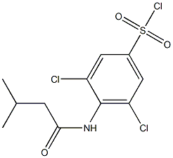 3,5-dichloro-4-(3-methylbutanamido)benzene-1-sulfonyl chloride Struktur