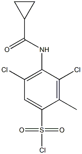 3,5-dichloro-4-cyclopropaneamido-2-methylbenzene-1-sulfonyl chloride Struktur