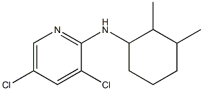 3,5-dichloro-N-(2,3-dimethylcyclohexyl)pyridin-2-amine Struktur