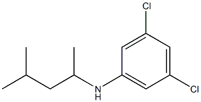 3,5-dichloro-N-(4-methylpentan-2-yl)aniline Struktur