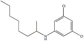 3,5-dichloro-N-(octan-2-yl)aniline Struktur