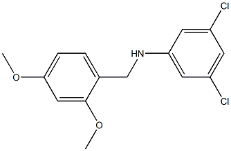 3,5-dichloro-N-[(2,4-dimethoxyphenyl)methyl]aniline Struktur