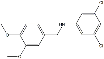 3,5-dichloro-N-[(3,4-dimethoxyphenyl)methyl]aniline Struktur