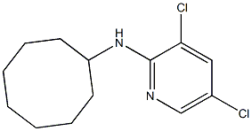 3,5-dichloro-N-cyclooctylpyridin-2-amine Struktur