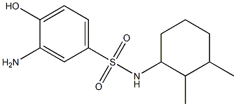 3-amino-N-(2,3-dimethylcyclohexyl)-4-hydroxybenzene-1-sulfonamide Struktur