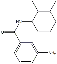 3-amino-N-(2,3-dimethylcyclohexyl)benzamide Struktur