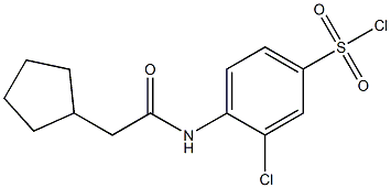 3-chloro-4-(2-cyclopentylacetamido)benzene-1-sulfonyl chloride Struktur