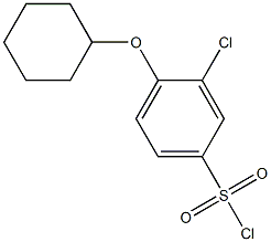 3-chloro-4-(cyclohexyloxy)benzene-1-sulfonyl chloride Struktur