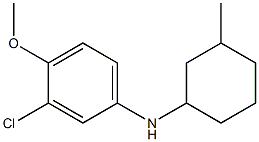 3-chloro-4-methoxy-N-(3-methylcyclohexyl)aniline Struktur