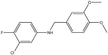 3-chloro-N-[(3,4-dimethoxyphenyl)methyl]-4-fluoroaniline Struktur