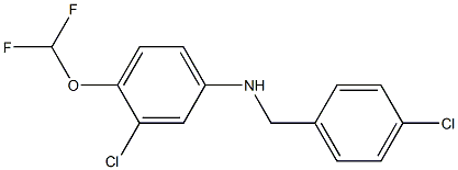 3-chloro-N-[(4-chlorophenyl)methyl]-4-(difluoromethoxy)aniline Struktur