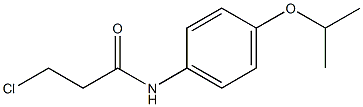 3-chloro-N-[4-(propan-2-yloxy)phenyl]propanamide Struktur