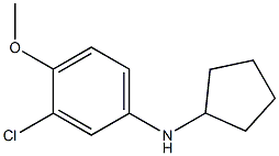 3-chloro-N-cyclopentyl-4-methoxyaniline Struktur