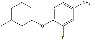 3-fluoro-4-[(3-methylcyclohexyl)oxy]aniline Struktur