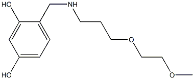 4-({[3-(2-methoxyethoxy)propyl]amino}methyl)benzene-1,3-diol Struktur