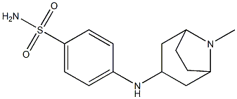 4-({8-methyl-8-azabicyclo[3.2.1]octan-3-yl}amino)benzene-1-sulfonamide Struktur