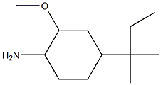 4-(1,1-dimethylpropyl)-2-methoxycyclohexanamine Struktur