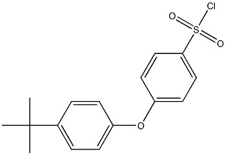 4-(4-tert-butylphenoxy)benzene-1-sulfonyl chloride Struktur