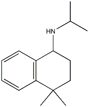 4,4-dimethyl-N-(propan-2-yl)-1,2,3,4-tetrahydronaphthalen-1-amine Struktur