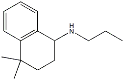 4,4-dimethyl-N-propyl-1,2,3,4-tetrahydronaphthalen-1-amine Struktur