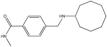 4-[(cyclooctylamino)methyl]-N-methylbenzamide Struktur