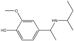 4-[1-(butan-2-ylamino)ethyl]-2-methoxyphenol Struktur