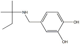 4-{[(2-methylbutan-2-yl)amino]methyl}benzene-1,2-diol Struktur