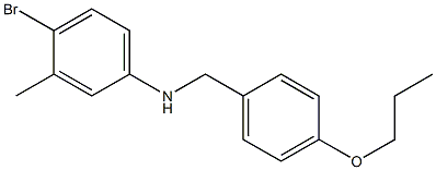 4-bromo-3-methyl-N-[(4-propoxyphenyl)methyl]aniline Struktur