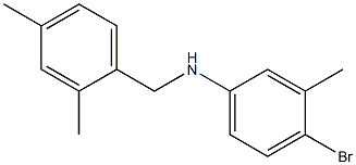 4-bromo-N-[(2,4-dimethylphenyl)methyl]-3-methylaniline Struktur