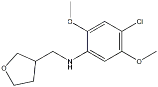 4-chloro-2,5-dimethoxy-N-(oxolan-3-ylmethyl)aniline Struktur