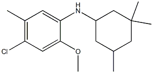 4-chloro-2-methoxy-5-methyl-N-(3,3,5-trimethylcyclohexyl)aniline Struktur