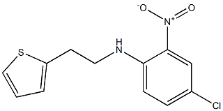 4-chloro-2-nitro-N-[2-(thiophen-2-yl)ethyl]aniline Struktur