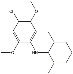 4-chloro-N-(2,6-dimethylcyclohexyl)-2,5-dimethoxyaniline Struktur