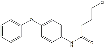 4-chloro-N-(4-phenoxyphenyl)butanamide Struktur