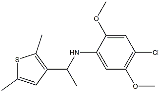 4-chloro-N-[1-(2,5-dimethylthiophen-3-yl)ethyl]-2,5-dimethoxyaniline Struktur