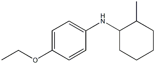 4-ethoxy-N-(2-methylcyclohexyl)aniline Struktur