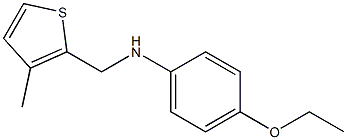 4-ethoxy-N-[(3-methylthiophen-2-yl)methyl]aniline Struktur