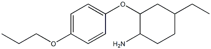 4-ethyl-2-(4-propoxyphenoxy)cyclohexan-1-amine Struktur