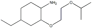 4-ethyl-2-[2-(propan-2-yloxy)ethoxy]cyclohexan-1-amine Struktur