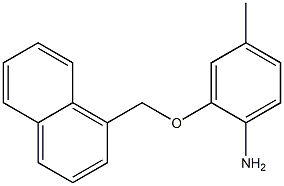 4-methyl-2-(naphthalen-1-ylmethoxy)aniline Struktur