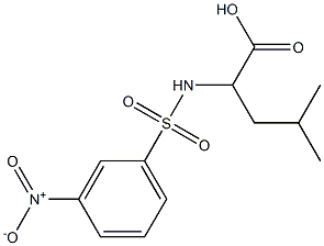 4-methyl-2-[(3-nitrobenzene)sulfonamido]pentanoic acid Struktur