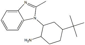 4-tert-butyl-2-(2-methyl-1H-1,3-benzodiazol-1-yl)cyclohexan-1-amine Struktur