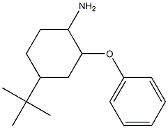 4-tert-butyl-2-phenoxycyclohexan-1-amine Struktur